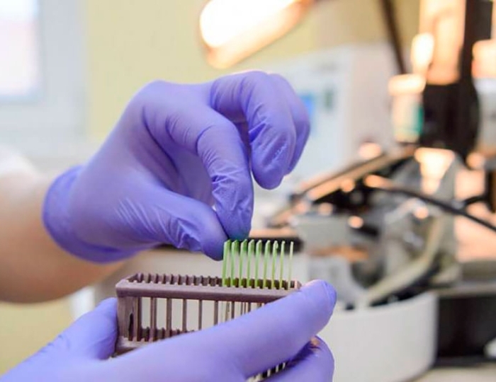 Оздоровительные услуги - Санаторий «Жемчужина Зауралья» РЖД-Здоровье